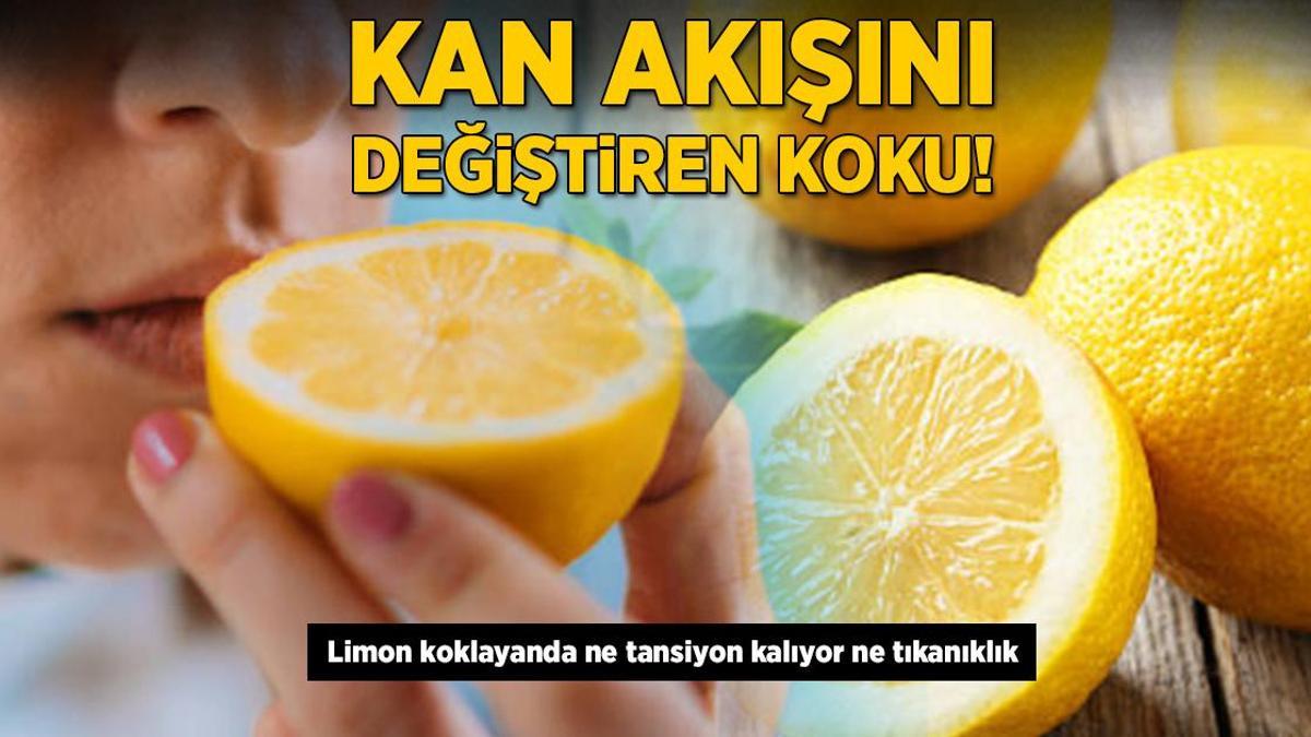 Kan akışını değiştiren koku! Limon koklayanda ne tansiyon kalıyor ne tıkanıklık